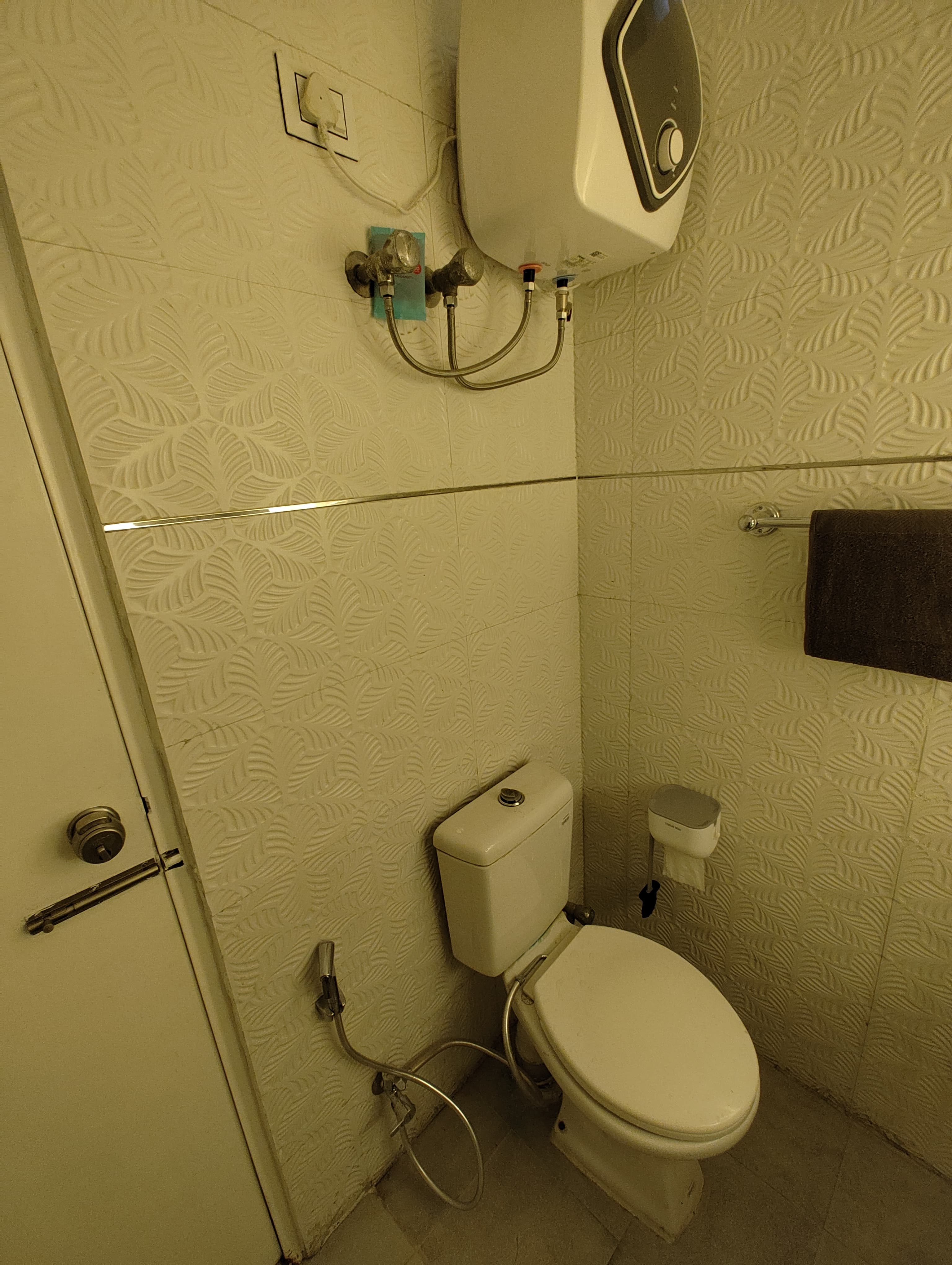 Smart Suite bathroom - WC & geyser